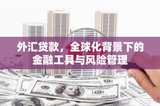 巩留外汇贷款，全球化背景下的金融工具与风险管理