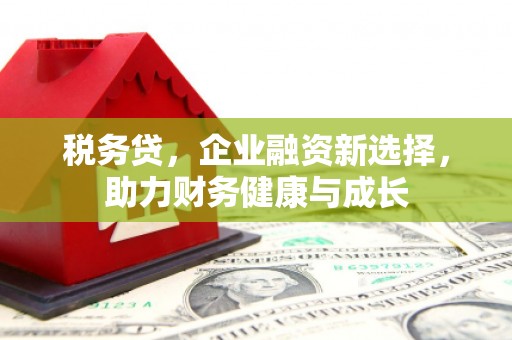 巩留税务贷，企业融资新选择，助力财务健康与成长