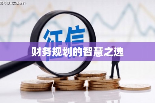 巩留财务规划的智慧之选
