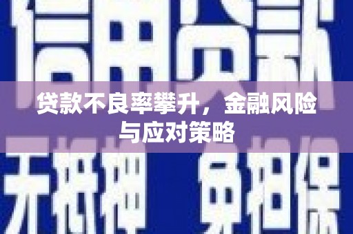 巩留贷款不良率攀升，金融风险与应对策略