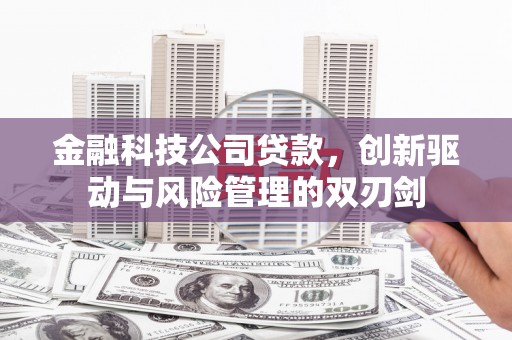 巩留金融科技公司贷款，创新驱动与风险管理的双刃剑