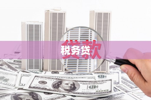 巩留税务贷
